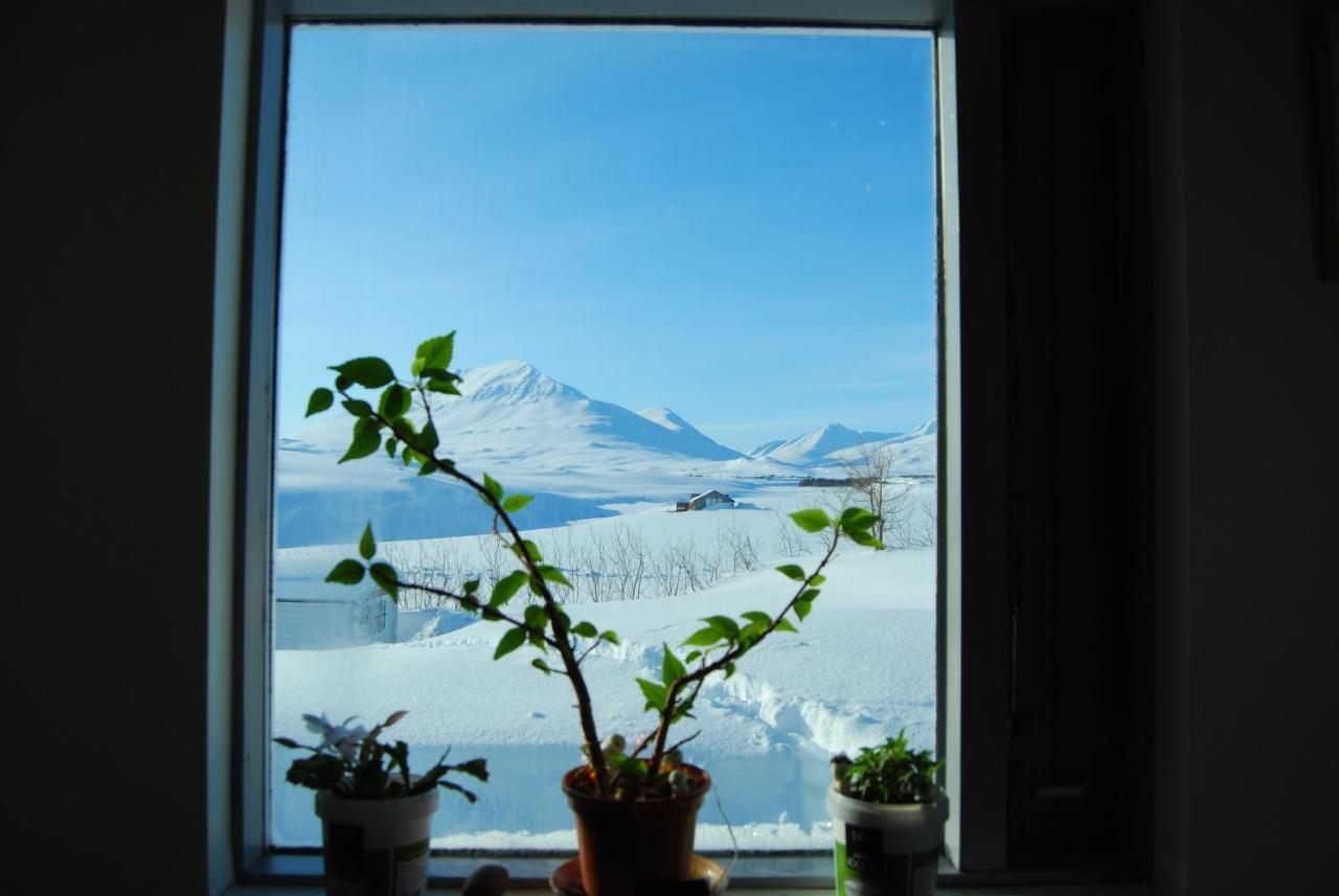 L&L BnB - Stay'in Árbakki Arskogssandur Exterior foto